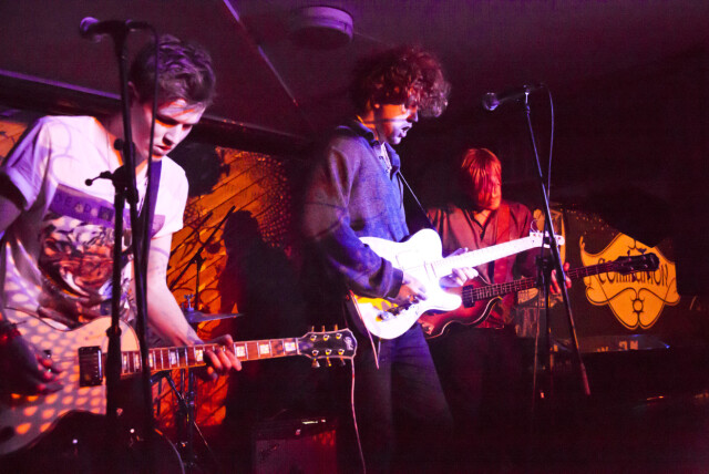 VIOLA BEACH: Alle de fire bandmedlemmene i den britiske inde-gruppen Viola Beach omkom i bilulykke i Sverige 13. februar. Det samme gjorde bandets manager. Dette bildet er tatt under en konsert i januar. Foto: NTB Scanpix VIOLA BEACH: Alle de fire bandmedlemmene i den britiske inde-gruppen Viola Beach omkom i bilulykke i Sverige 13. februar. Det samme gjorde bandets manager. Dette bildet er tatt under en konsert i januar. Foto: NTB Scanpix